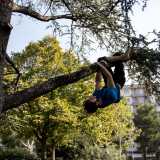 E come se non bastasse, successivamente si arrampica su un ramo pi� robusto...